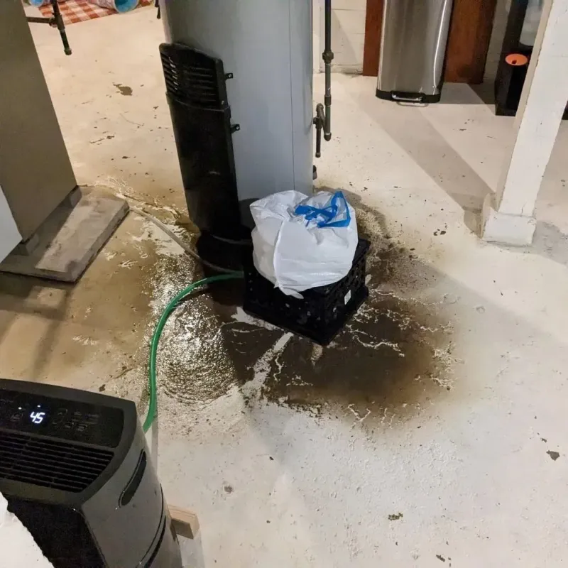 Sewage Backup Cleanup Service in Panhandle, TX